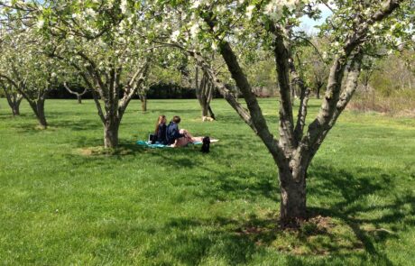 relaxing moments on the lawn at Sunset Farm Stay vacation rental