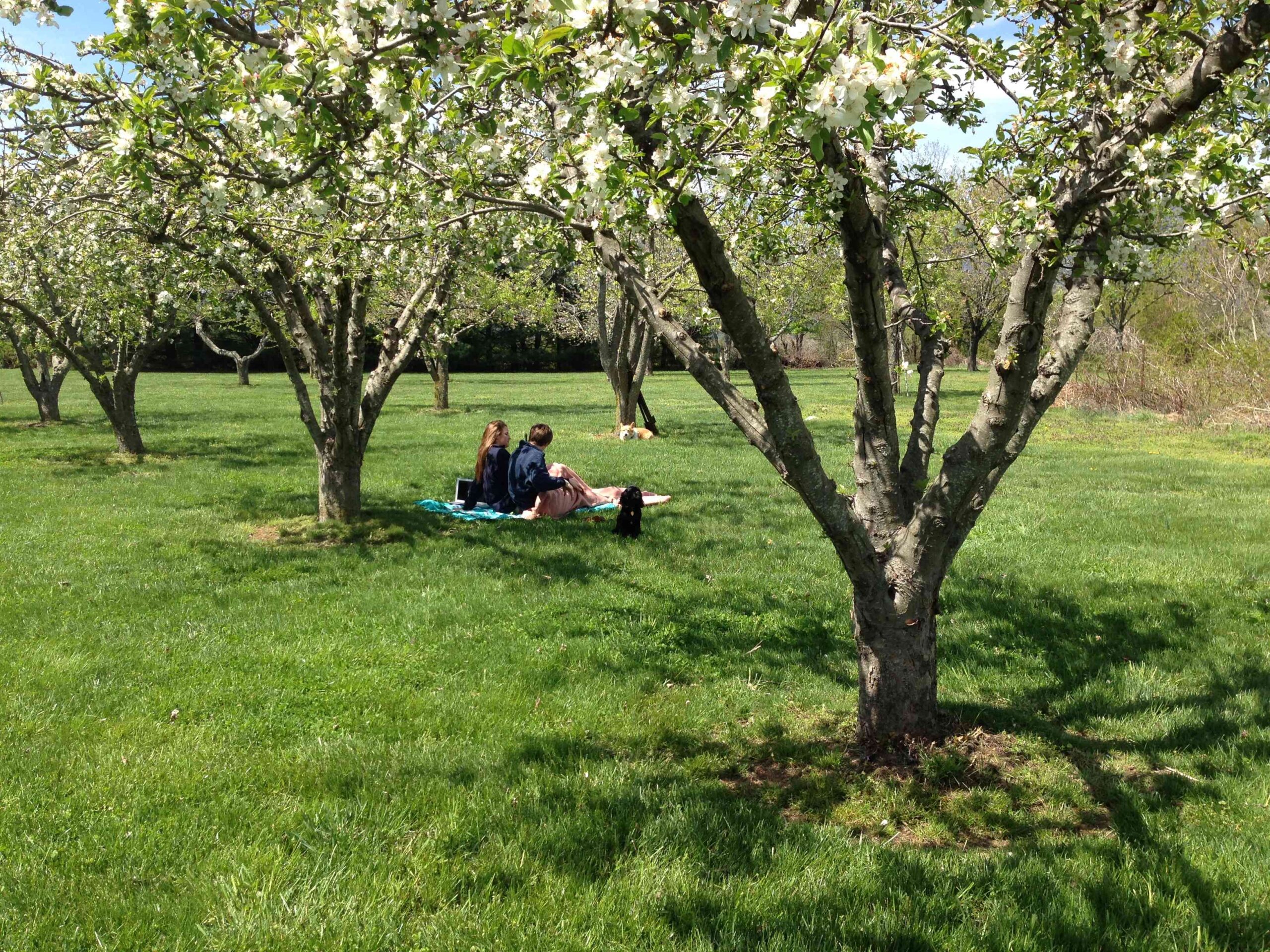 relaxing moments on the lawn at Sunset Farm Bed & Breakfast