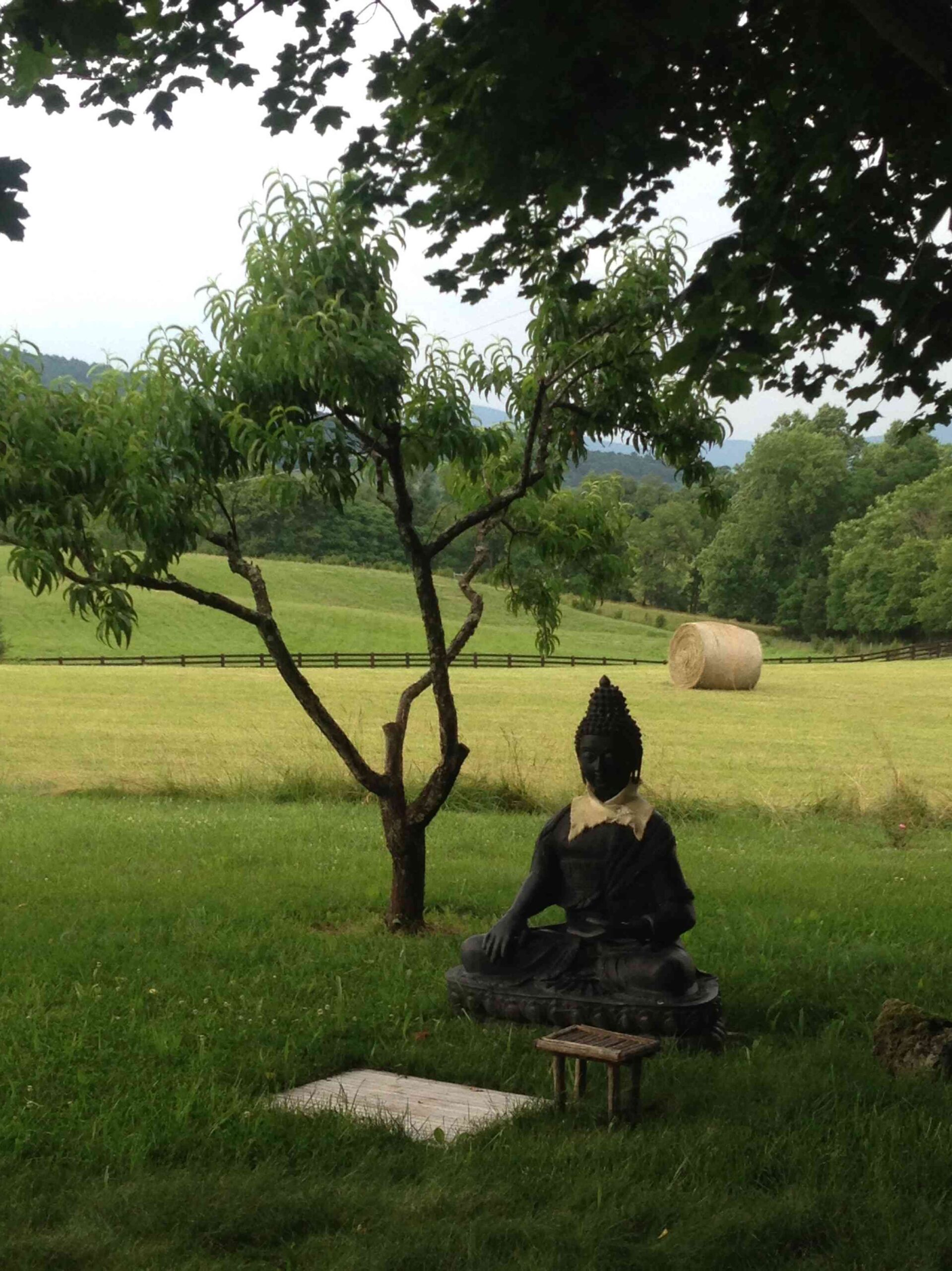 rolling farmland in serene setting at Sunset Farm Bed and Breakfast in Crozet Virginia