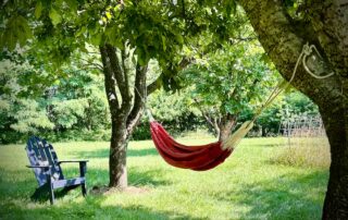 relax in the hammock in the orchard at Sunset Farm Stay vacation rental in Crozet Virginia