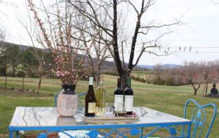 Wines from Fallen Tree Vineyard and King Family Vineyard being served at Sunset Farm Stay vacation rental. Two of the local vineyards along the Virginia Wine Trail