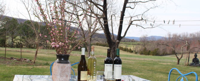 Wines from Fallen Tree Vineyard and King Family Vineyard being served at Sunset Farm Stay vacation rental. Two of the local vineyards along the Virginia Wine Trail
