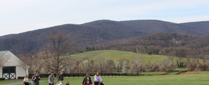 A family outing at King Family Vineyards, a great place for a family picnic. Only 8 miles from Sunset Farm Stay vacation rental